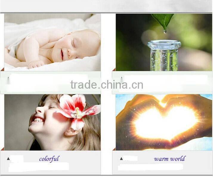 100% satin jacquard Europe Bedding set luxury high quality red bed set