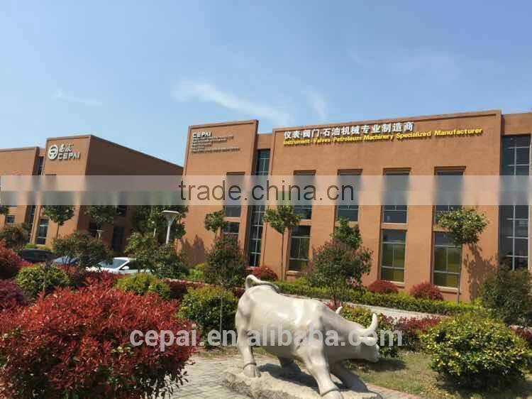 LZB-100F Corrosion-proof Rotor Flow Meter