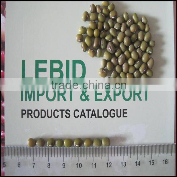 Chinese Wholesale Green Mung Bean 2015 Crop