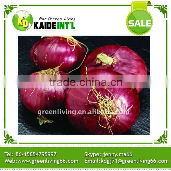 Popular Equipment Fresh Big Onion