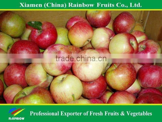 Chinese Red Apple