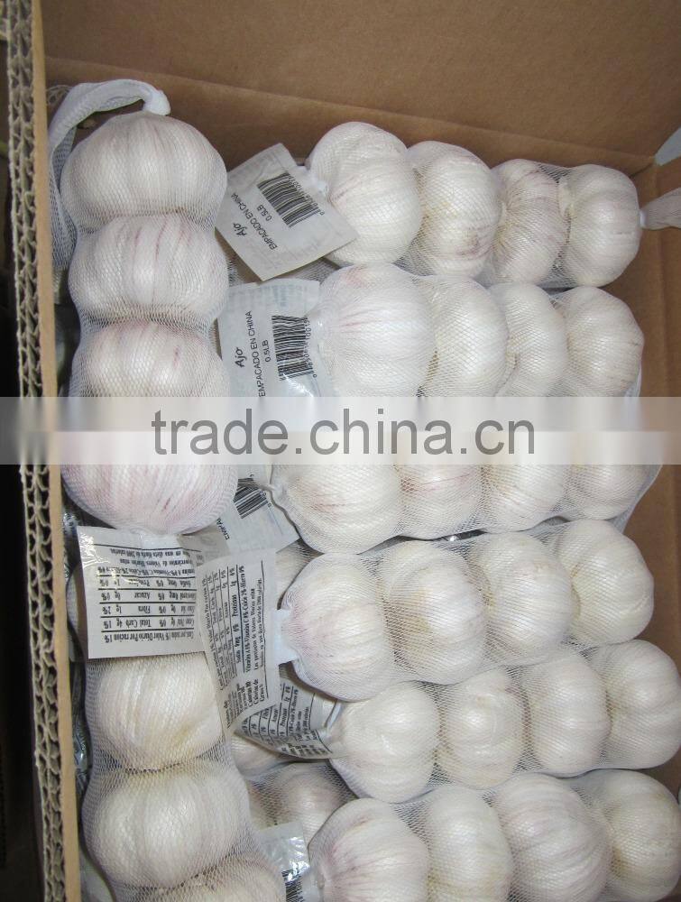 cheap chinese garlic