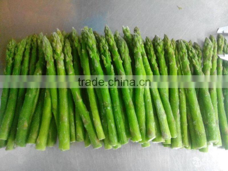 IQF Fresh Green Asparagus from China
