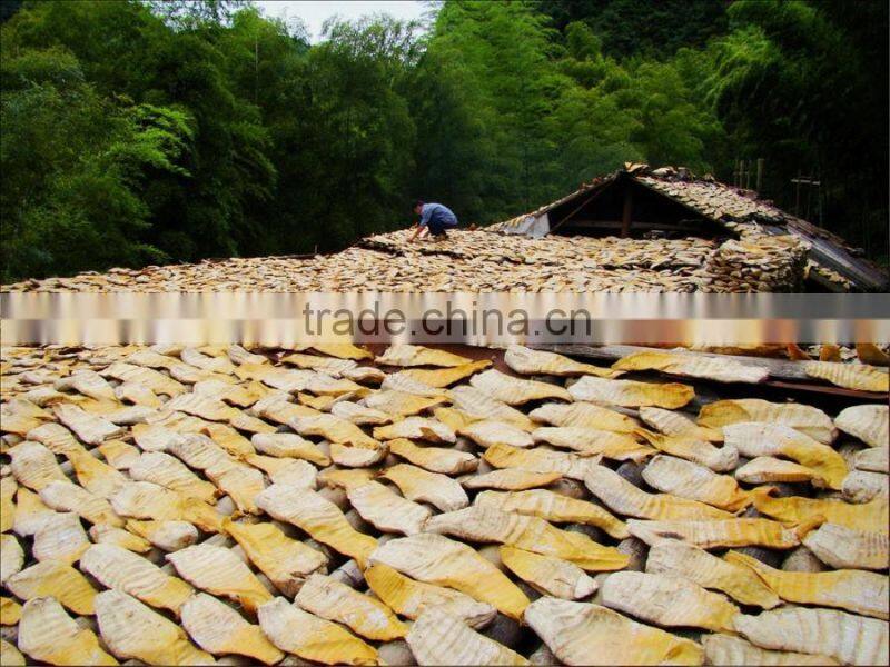 fresh dry bamboo shoot