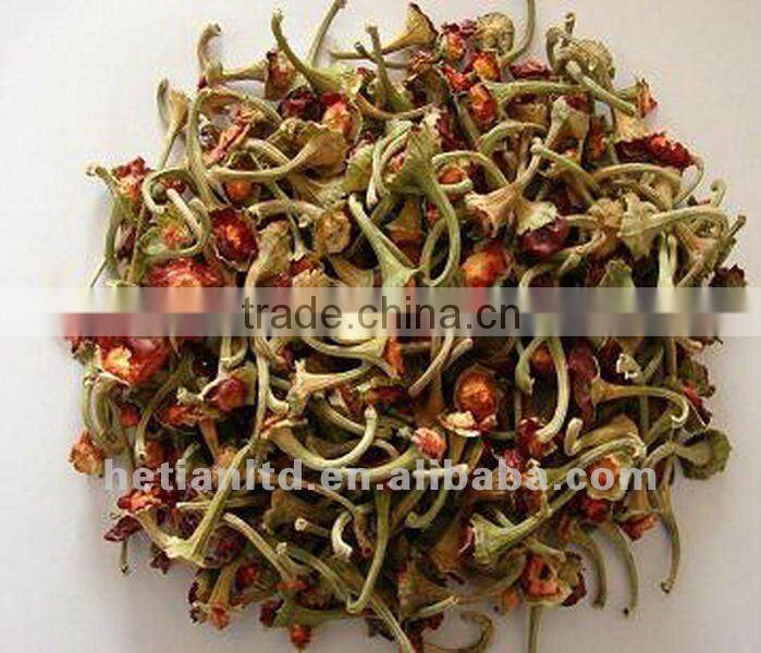 160 ASTA paprika pod with stem