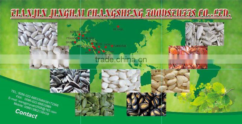 Sell SUNFLOWER SEEDS 5009, 6009, 363, 1121at Cheap Price