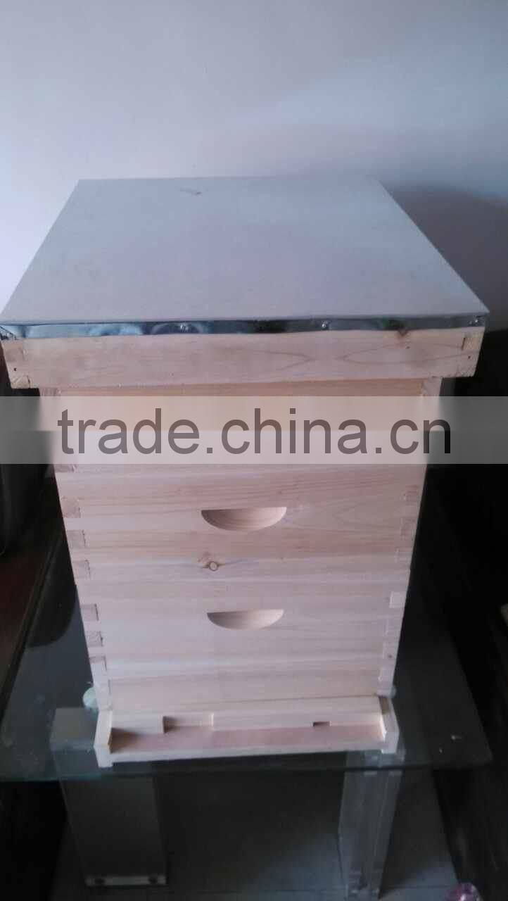 Live Pictures/Two Layer Bee Hive/Beekeeping Tools Bee Hive