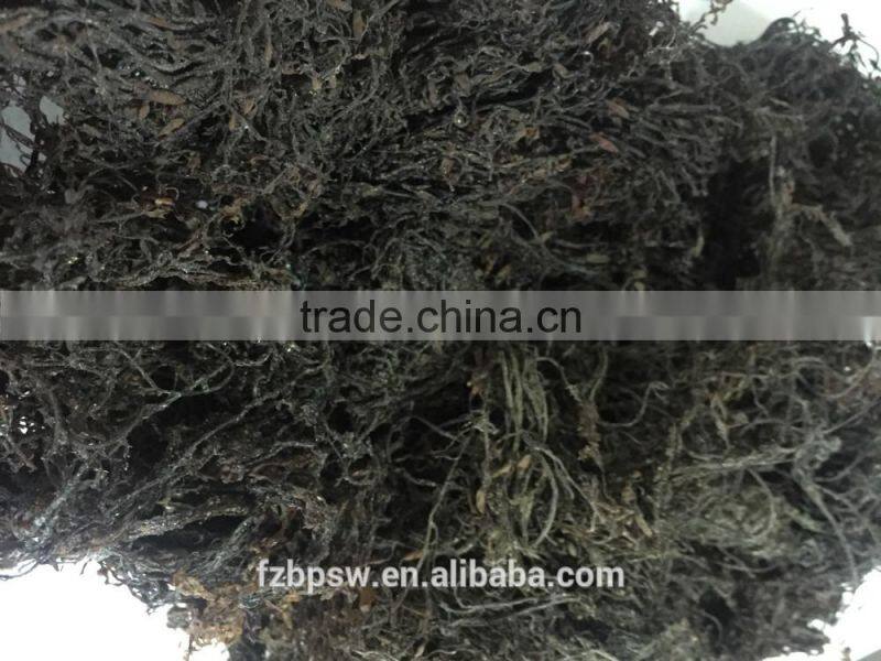 Feed sargassum Powder for abalone feed, seaweed flour