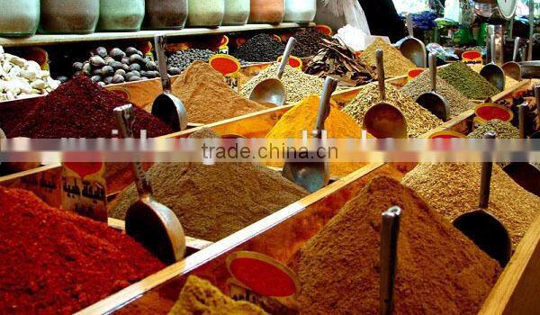 mutli-functional Stainless steel grain grinder/corn grinder/maize grinder/mill for grinding corn electric