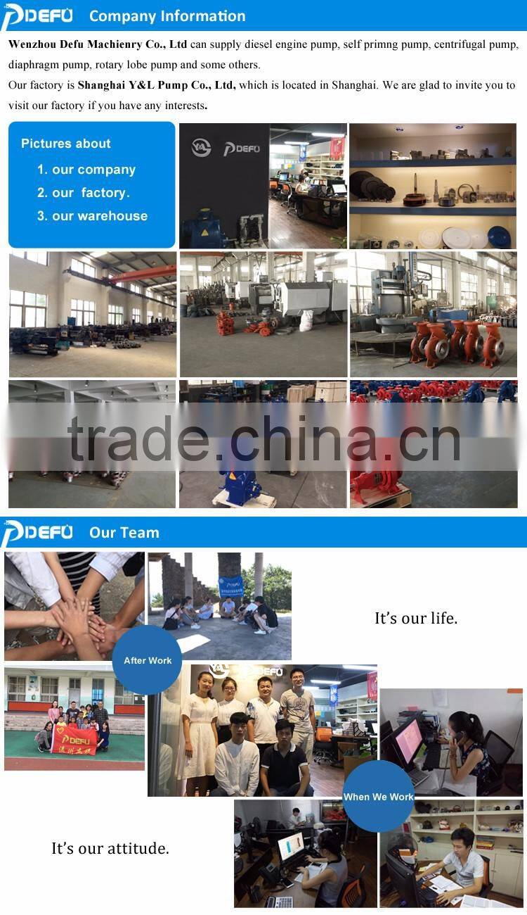 Name Brand Pumps/Diesel Engine Self Priming Sewage Pumps