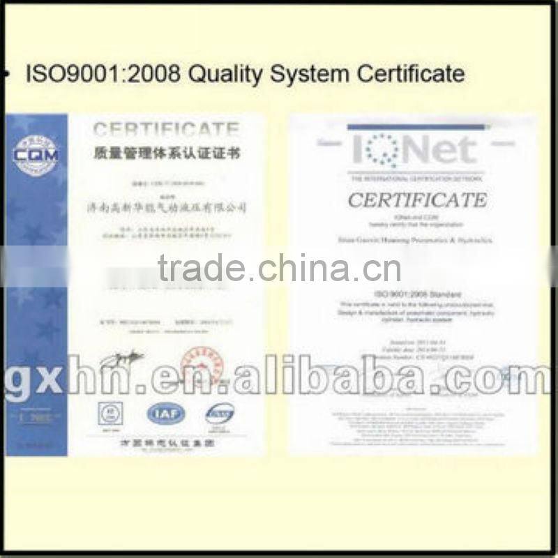 Professional hydraulic cylinder for press machine