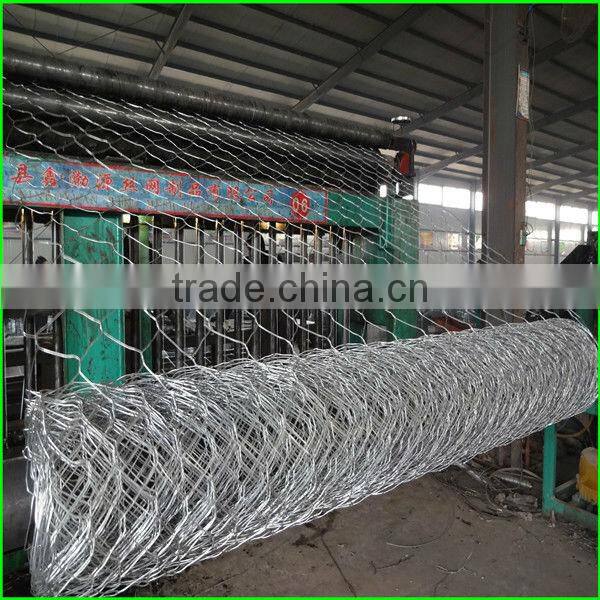 Competitive price hexagonal netting