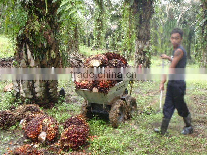 gasoline engine garden barrow cart/ power barrow/muck truck / garden loader /4*4 with CE 250kg