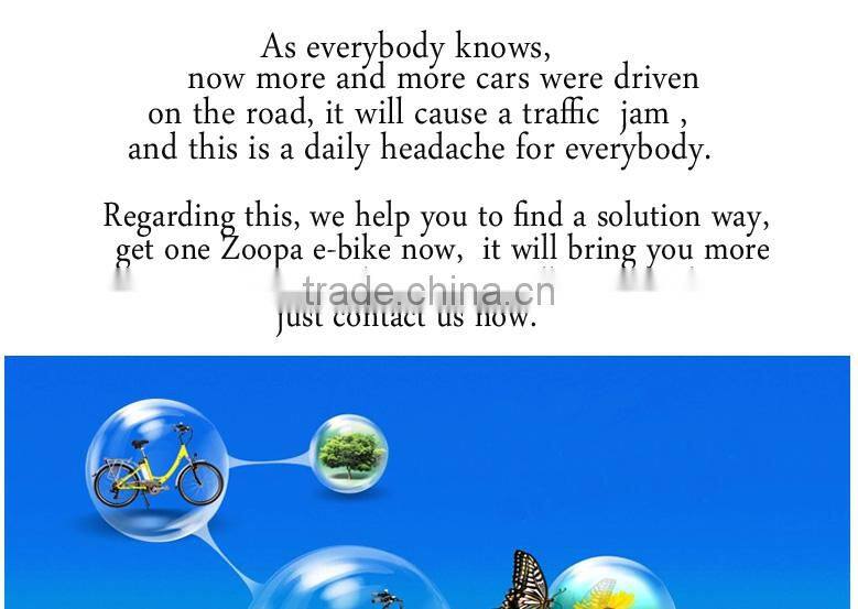 china cheapest folding electric bicycle for sell