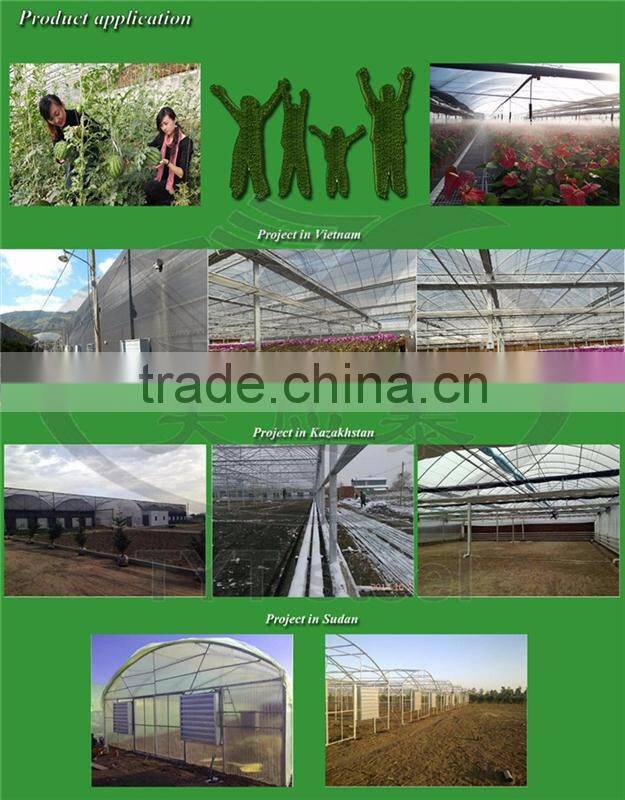 movable seedbed bed for agricultural greenhouse galvanized steel pipe for greenhouse commercial greenhouses