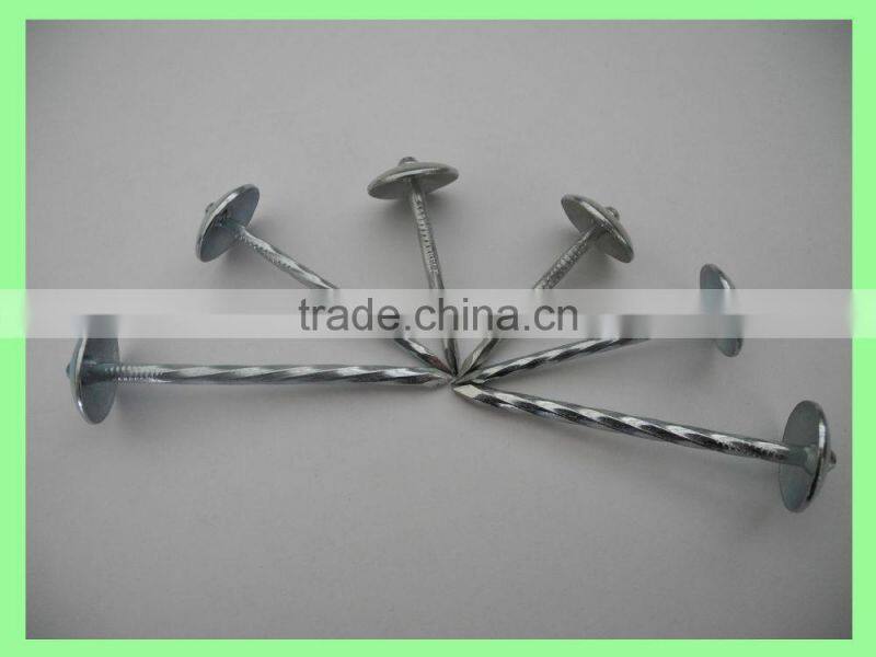 Kenya umbrella roofing nails