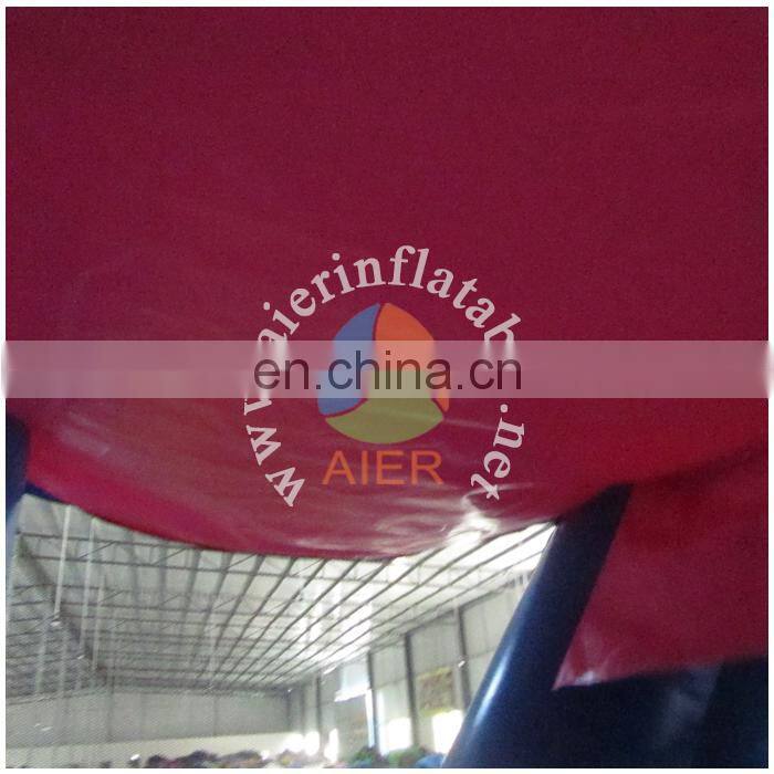 China factory price inflatable frozen bouncy castle / adult baby play toy inflatable bouncer house with slide