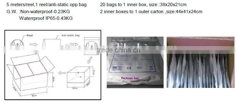 wholesale product SMD5050 DC12V/24V flexible rgbw led strip Shenzhen Smart Lighting Technology Co., Ltd