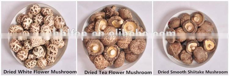 Shiitake Mushroom , Xianggu Mushroom , Maitake Mushroom