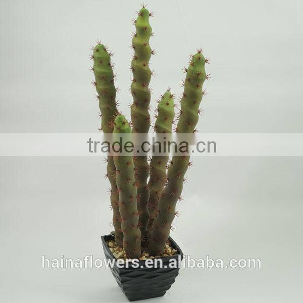 Factory direct selling succulent plants bonsai for indoor decoration