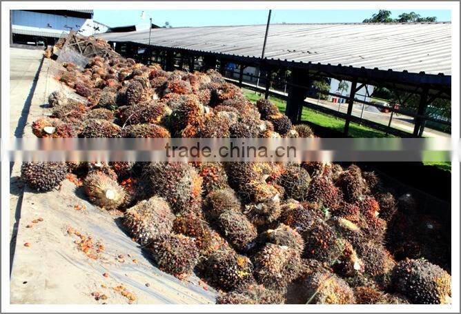 Turn key project palm oil precessing line, automatic palm oil extraction machine 10tpd 20tpd