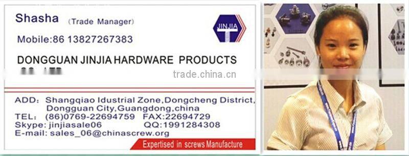 nickel plated precise CNC pawl rivet