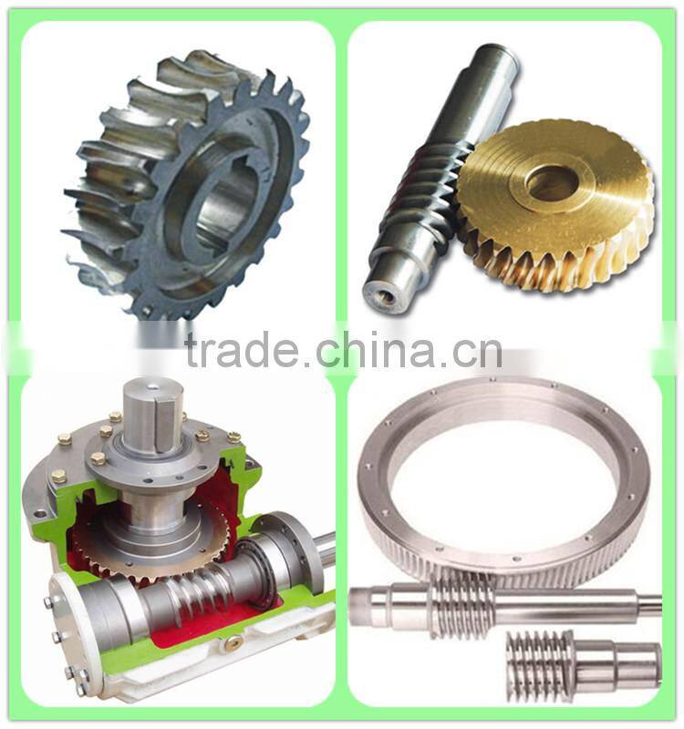 China Precised OEM gear/worm gear/worm gear and worm