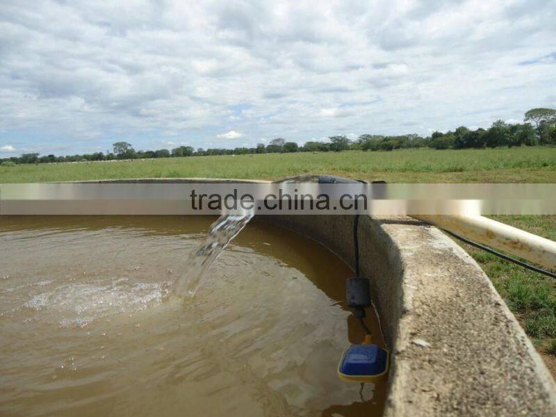 High Performance 600w-4000W solar submersible pump for irrigation