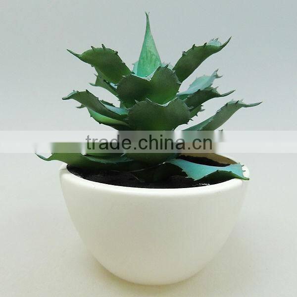 new model small ceramic pot plants for office decorating