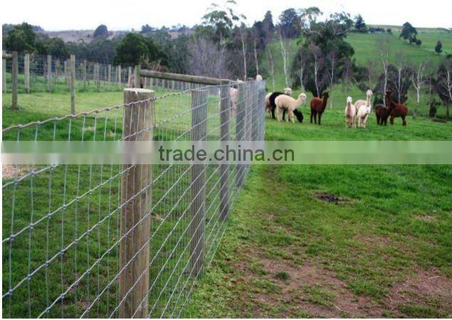 High Quality Animal Field Fence