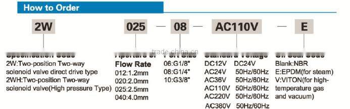 2W Series DC12V AC110v 2 position 2 way brass pneumatic relay valve electric water valve Solenoid valve