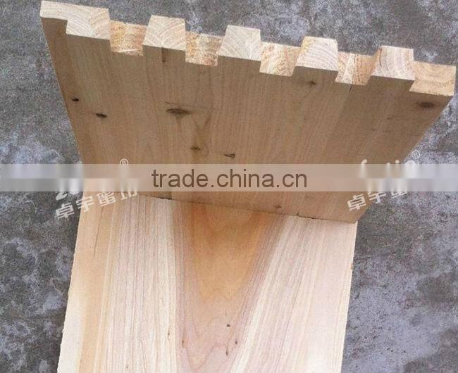 hot sale customized two levels beehive