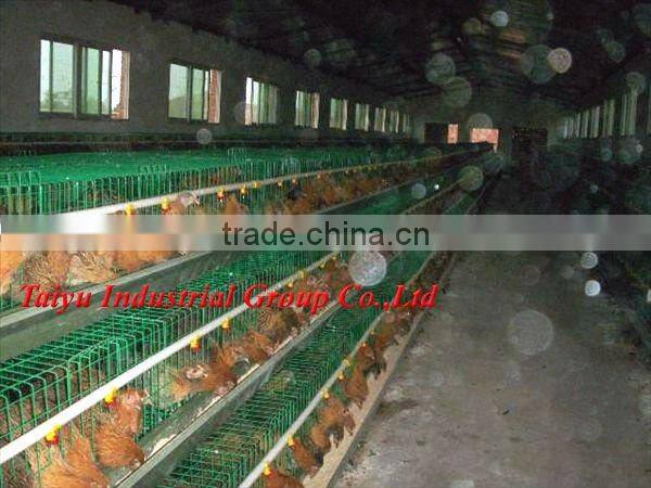 TAIYU-7 3 tier-A type egg laying chicken cage system