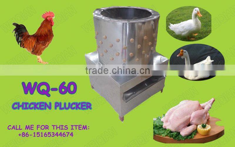 duck plucker machine in slaughtering house for sale WQ-60