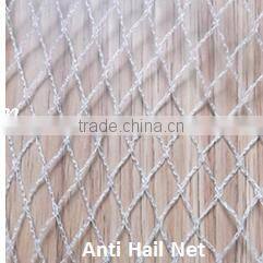 knotless anti bird protection safety net/100% HDPE UV Agricultural Anti Bird Net(Guangzhou Factory)