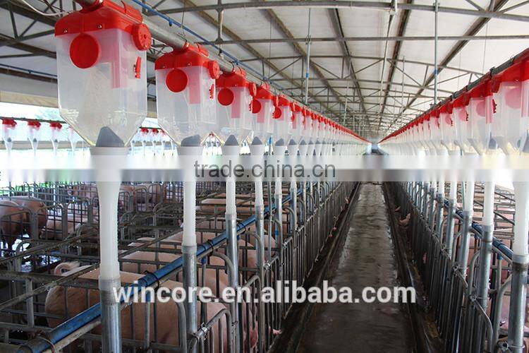 New Products Low Cost High Output Pig Feeding Equipment