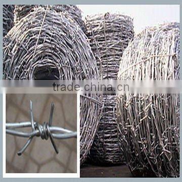 high quality low carbon galvanized barbed wire (manufactirer)
