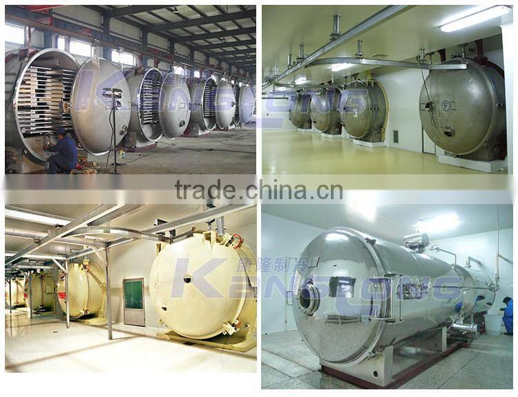 500Kg/H freeze dryer for freeze dried organic food