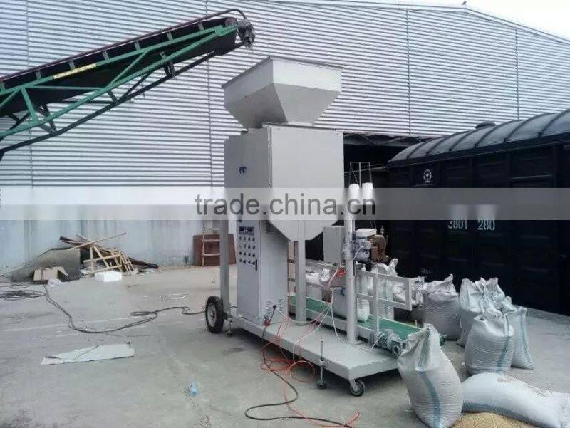 China High Accuracy Granular Type 50kg 100kg Grain Packaging Machine in Hot Sale