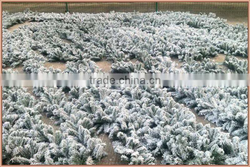 Christmas Tree Decorations Make and Install