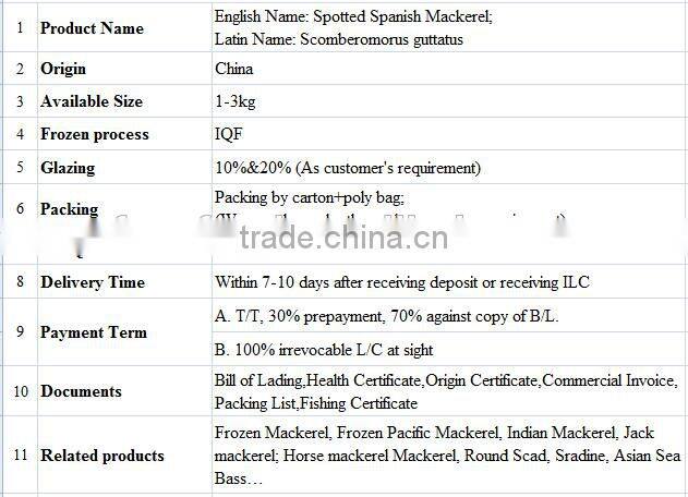 Frozen Spotted Spainsh Mackerel