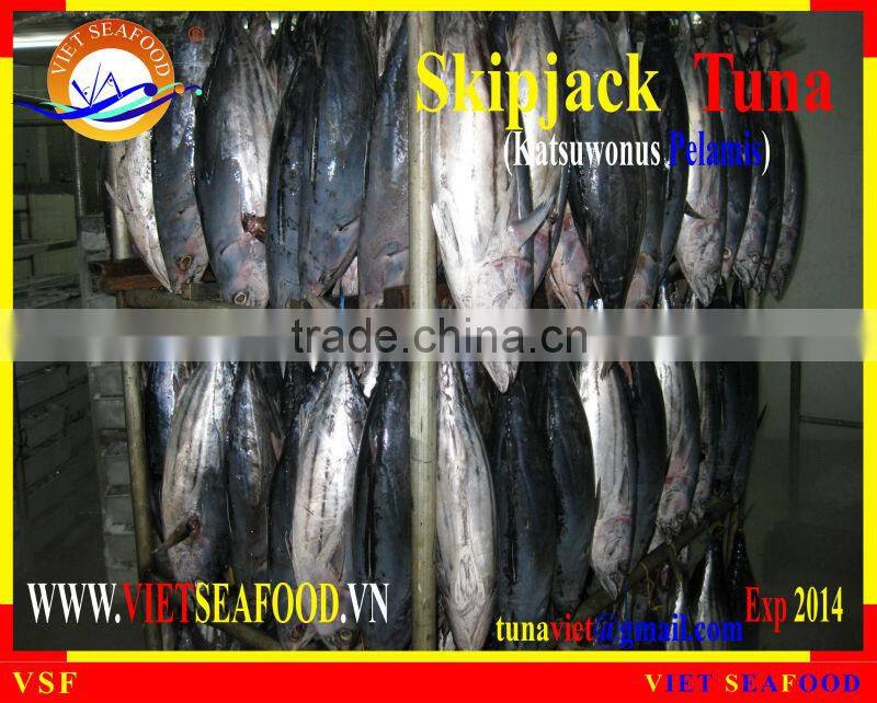 FROZEN W/R SKIPJACK TUNA