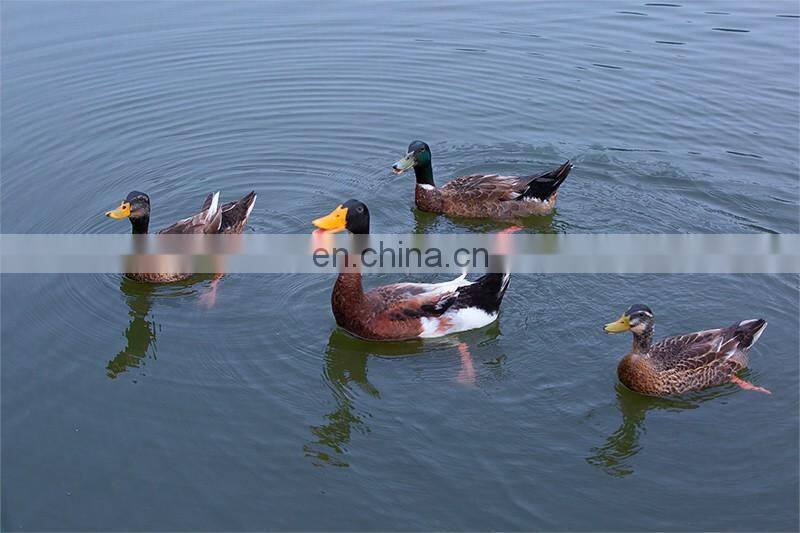 USA-2000 Grade A 70/30 grey duck down big down cluster high filling power, cleaness, odorless, whole sales