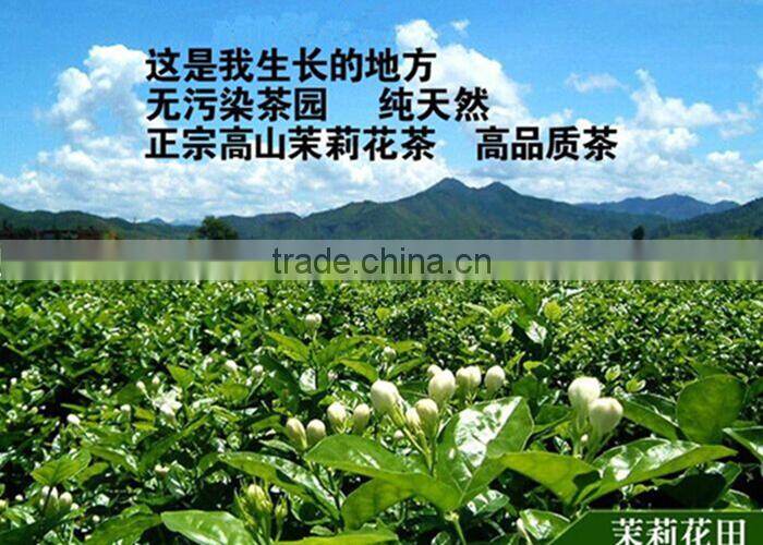Spring Organic Jasmine Tea Top Grade Fu Jian Dragon Pear Tea