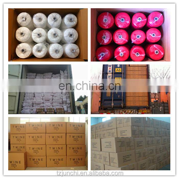 1000D/2 High strength Polyester FIBC Sewing thread