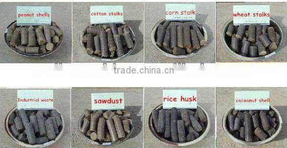 Hot Selling Wood charcoal briquette machine made in china