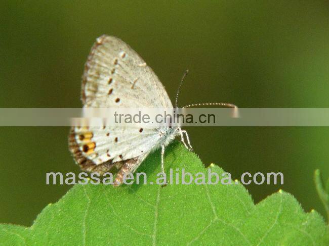 Lens Filter 62mm Close Up Filter +2 For Canon Nikon