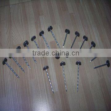 umbrella roofing iron nails
