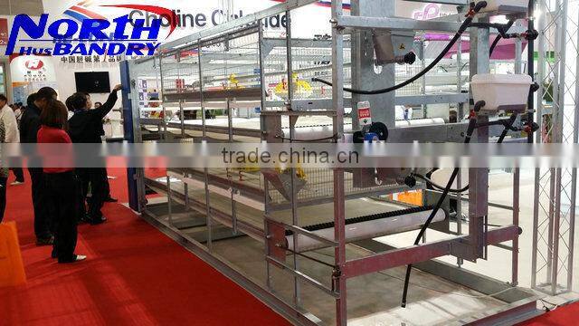 automatic chicken feeders for broiler