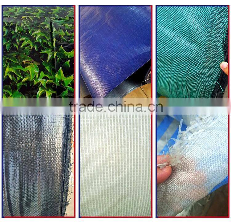 canvas fabric pe tarpaulin sheet